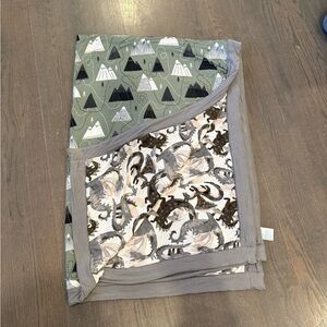 Posh Peanut Luce Patoo Large Blanket - mountains / dinosaur dragons